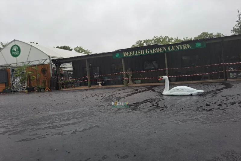 Asphalt Car Park for Deelish Garden Centre in Co. Cork (7)